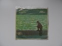 Mike Oldfield Moonlight Shadow/Rite Of A Man Virgin 7" Spain  1983